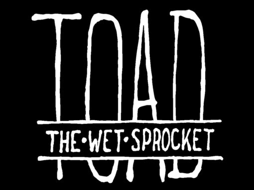 Toad the Wet Sprocket Social Media Interview